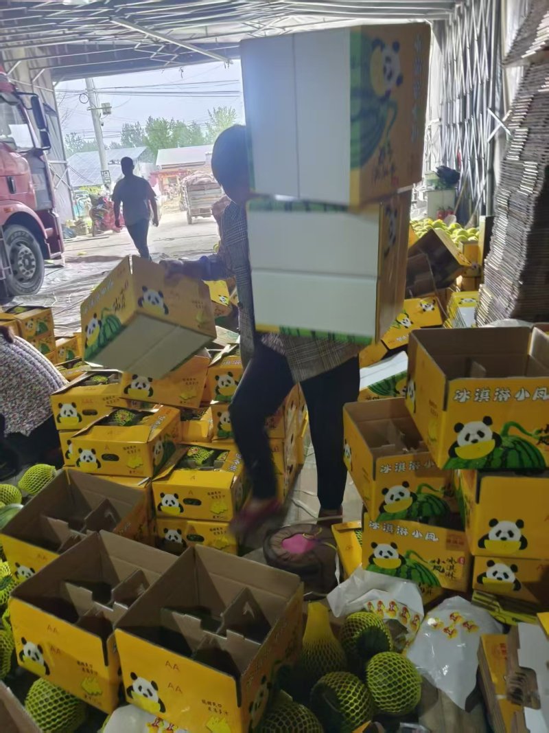 江苏特小凤西瓜，产地批发，特小凤西瓜质优价廉