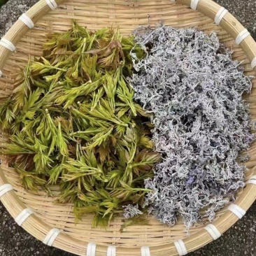 张家界莓茶，2025年新出的春茶