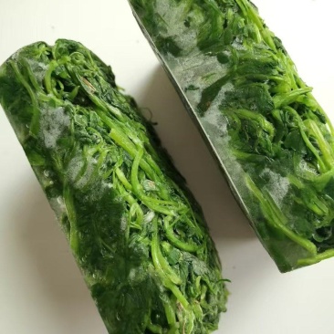 新鲜速冻苜蓿金花菜苜蓿菜做馅做菜用包子菜团子用批发价