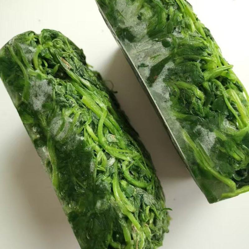 新鲜速冻苜蓿金花菜苜蓿菜做馅做菜用包子菜团子用批发价