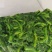苜蓿芽速冻苜蓿脱水苜蓿金花菜苜蓿做馅做菜菜团子包子用批发