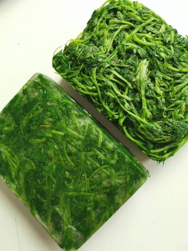 苜蓿芽速冻苜蓿脱水苜蓿金花菜苜蓿做馅做菜菜团子包子用批发