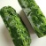苜蓿芽速冻苜蓿脱水苜蓿金花菜苜蓿做馅做菜菜团子包子用批发