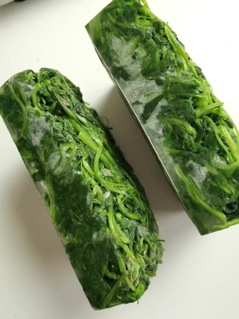 苜蓿芽速冻苜蓿脱水苜蓿金花菜苜蓿做馅做菜菜团子包子用批发