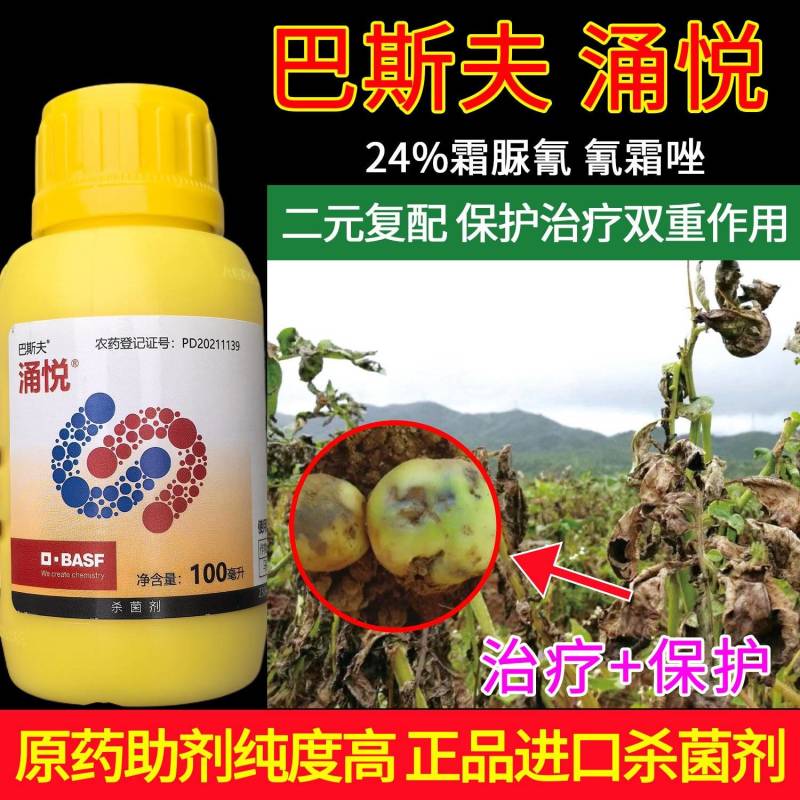 巴斯夫涌悦24%霜脲氰氰霜唑二元复配保护治疗双重作用
