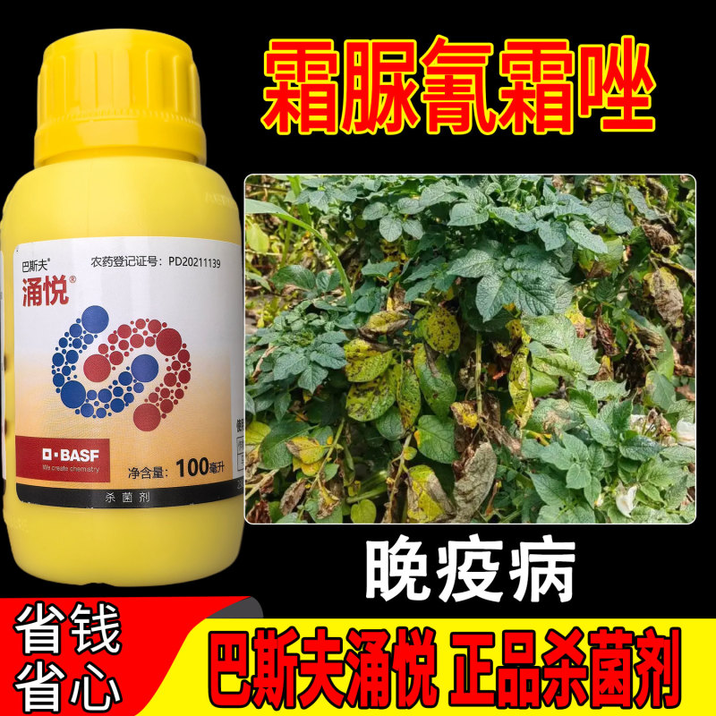 巴斯夫涌悦24%霜脲氰氰霜唑二元复配保护治疗双重作用