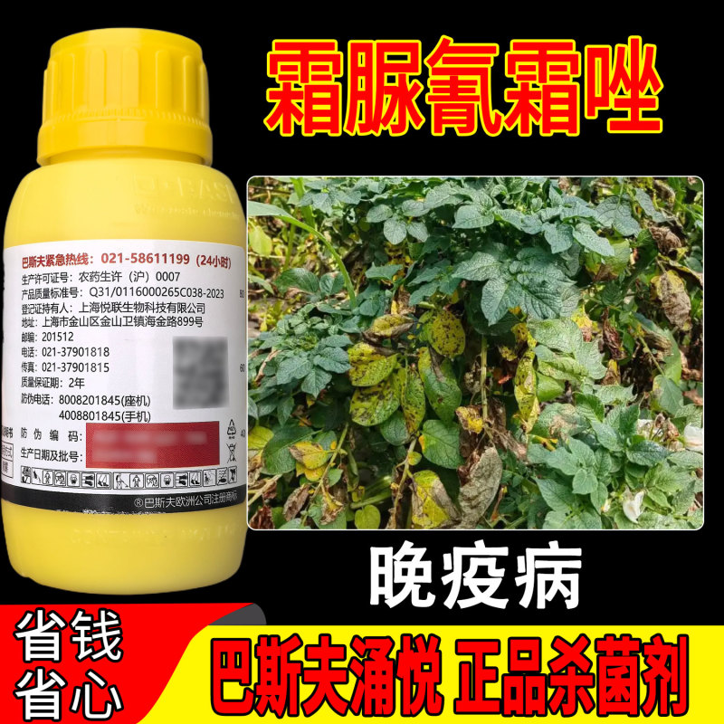 巴斯夫涌悦24%霜脲氰氰霜唑二元复配保护治疗双重作用