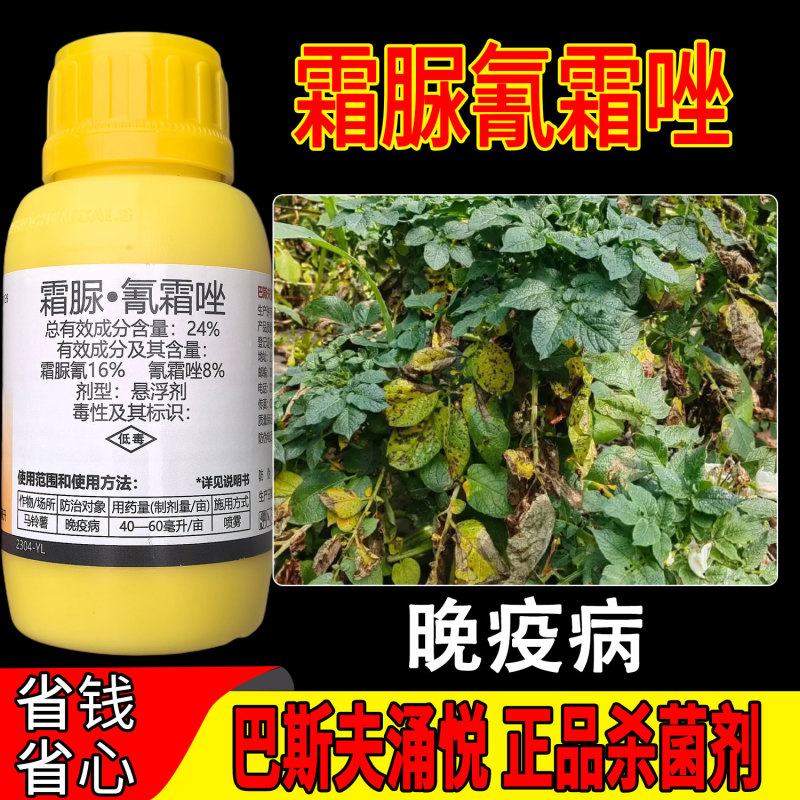 巴斯夫涌悦24%霜脲氰氰霜唑二元复配保护治疗双重作用
