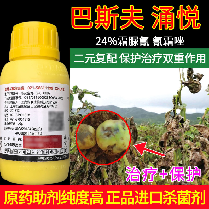 巴斯夫涌悦24%霜脲氰氰霜唑二元复配保护治疗双重作用