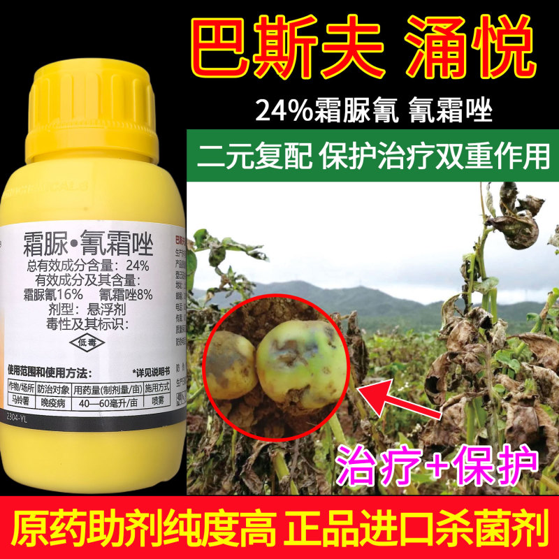 巴斯夫涌悦24%霜脲氰氰霜唑二元复配保护治疗双重作用