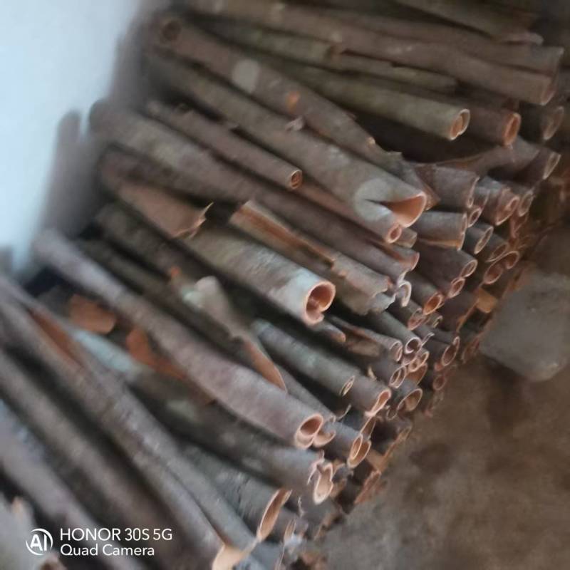 广西玉林市干桂皮