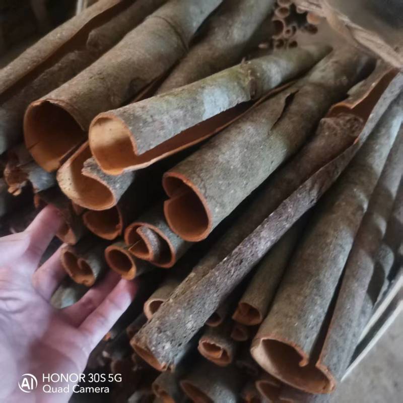 广西玉林市干桂皮