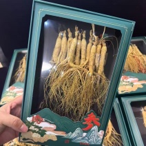 来播福利价林下参，精心定制，大量供货，批发加零售产地方发
