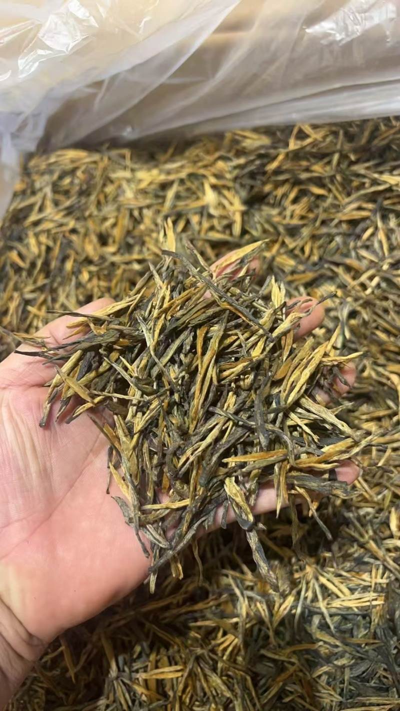滇红全系源头厂家