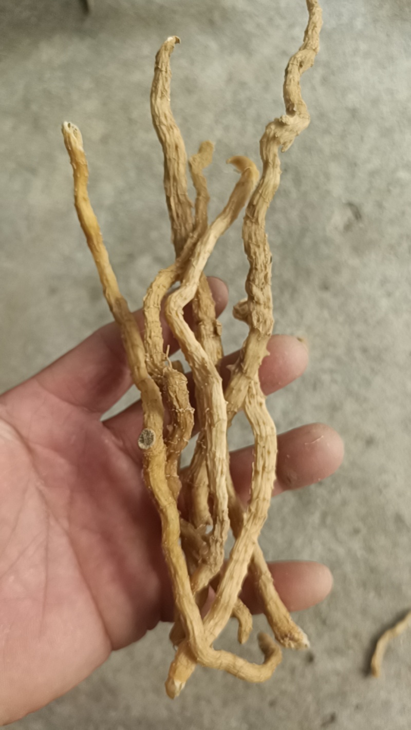 野生玉竹条，无硫加工，自然风干，煲汤炖肉不二之选