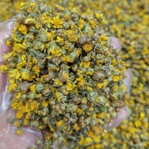 野菊花