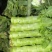 河南精品莴笋现砍现发一手货源品质保证量大从优