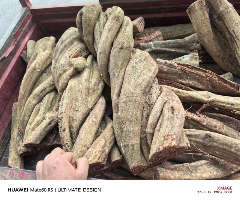 广西野生鸡血藤鸡血藤薄片大量供应一手货源