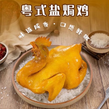 广东捷源盐焗鸡（散养走地鸡）