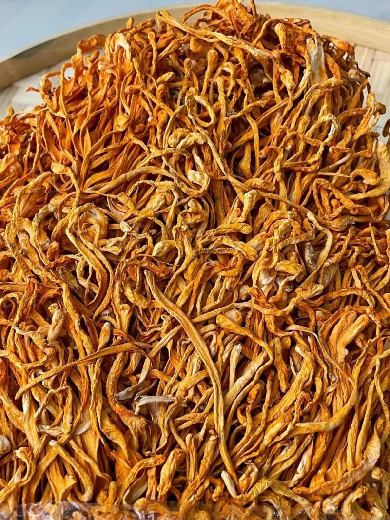 优品虫草花一手货源批发商
