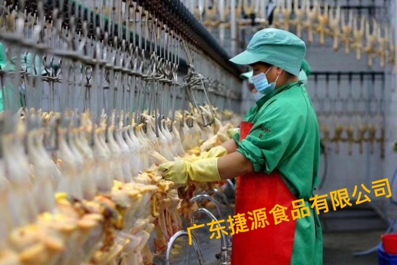 广东捷源盐焗鸡（散养走地鸡）