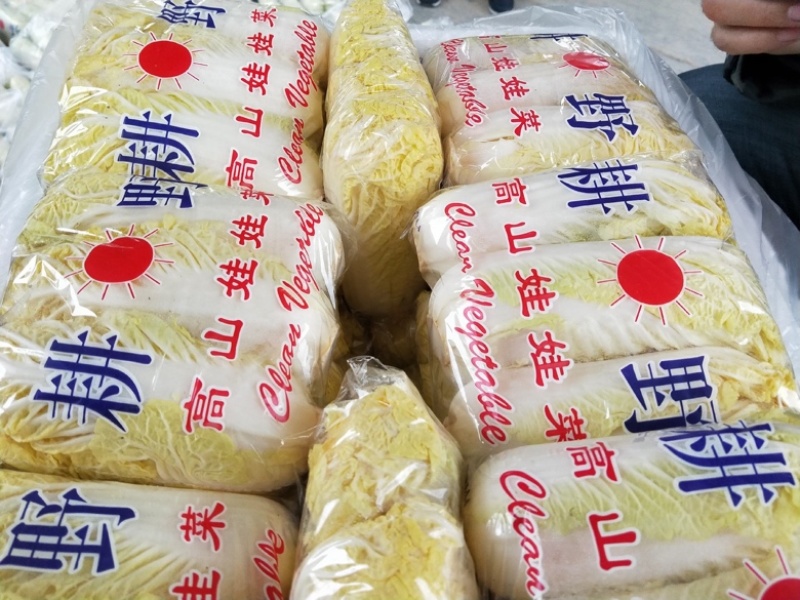 大娃娃菜，云南基地直供质量保证一手货源对接商超市场