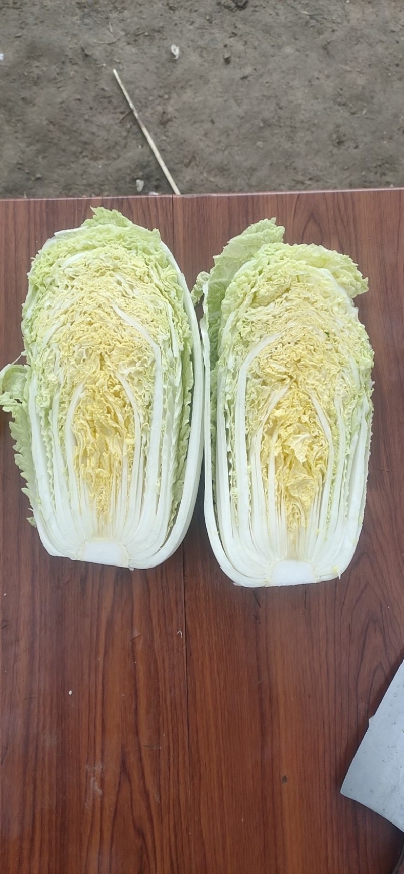 大娃娃菜，云南基地直供质量保证一手货源对接商超市场