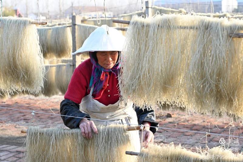 【推荐】精品红薯粉条货源充足量大从优质量保证厂家发货