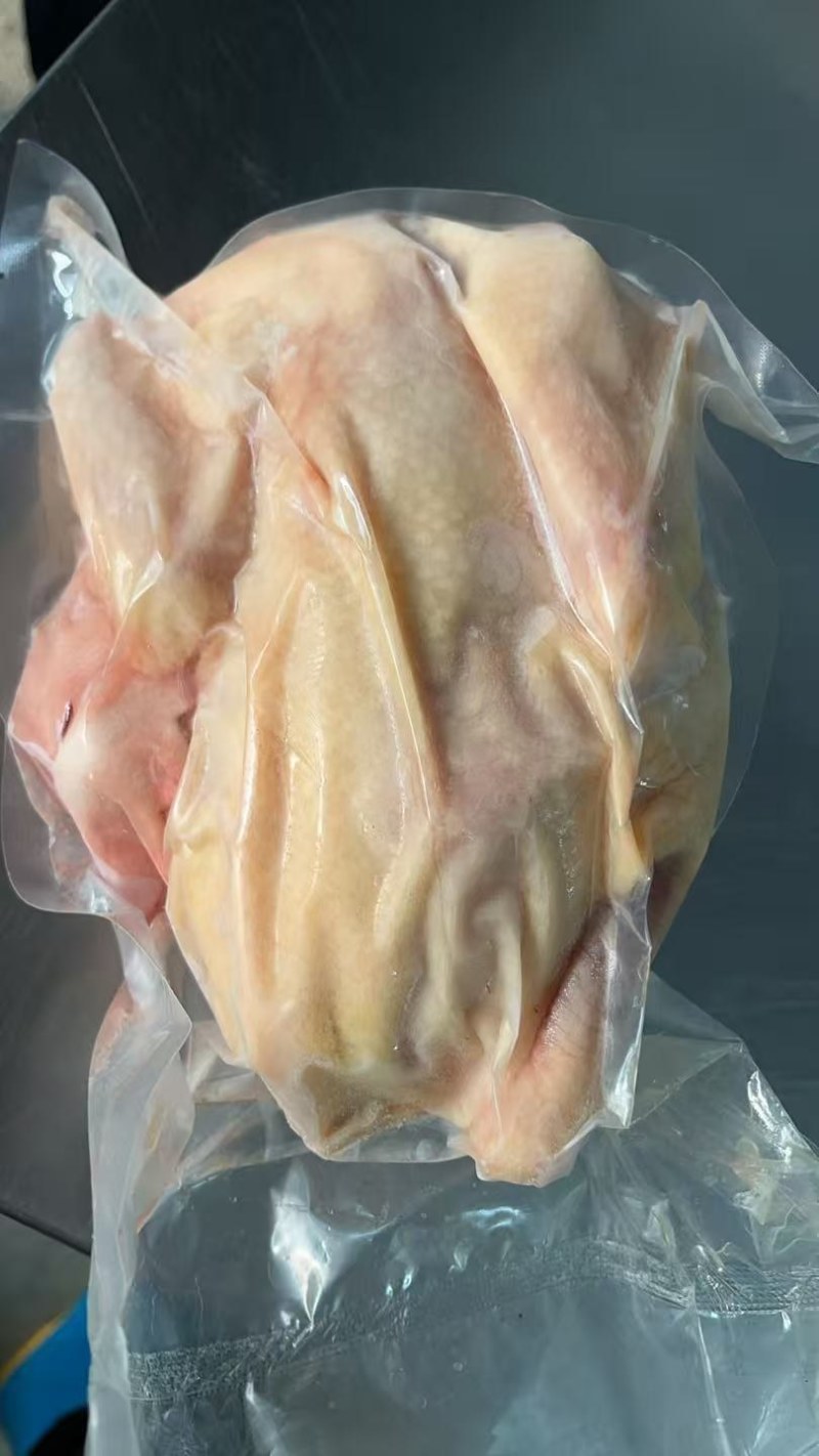 新鲜屠杀的文昌鸡超靓，椰子鸡煲火锅**，全国冷链发货。