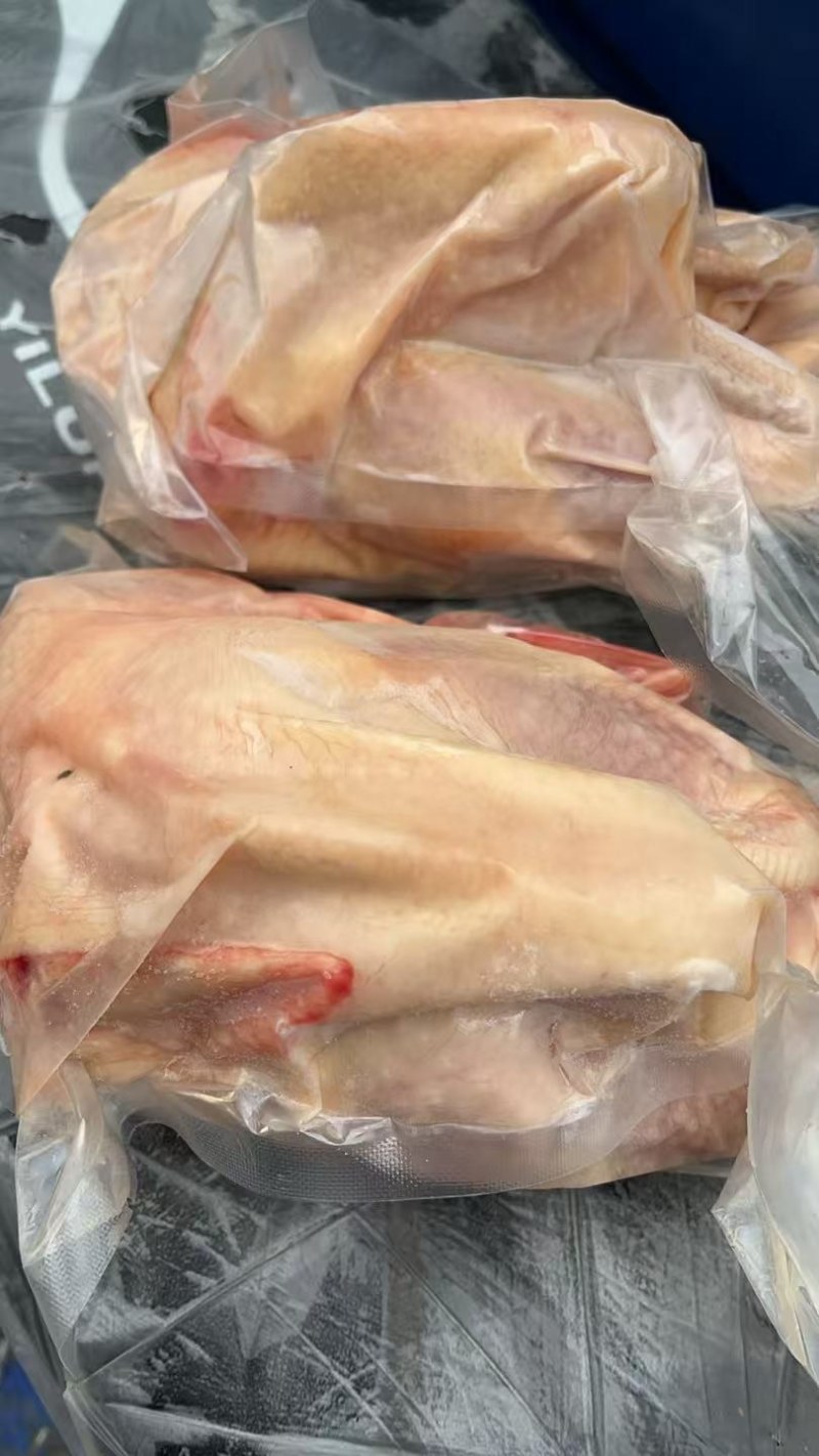 新鲜屠杀的文昌鸡超靓，椰子鸡煲火锅**，全国冷链发货。