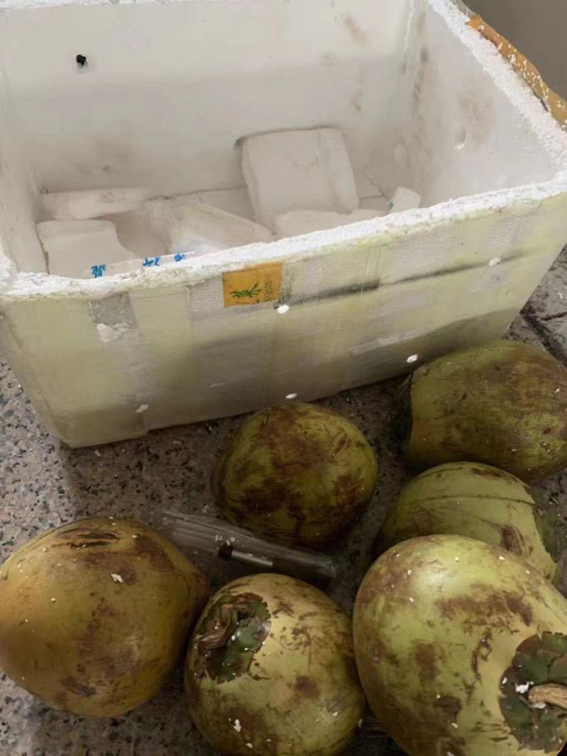 带皮椰子，诚信经营，一手货源，品质保证，