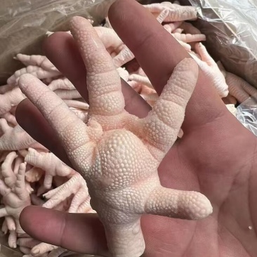 供应优品鸡凤爪一手货源批发