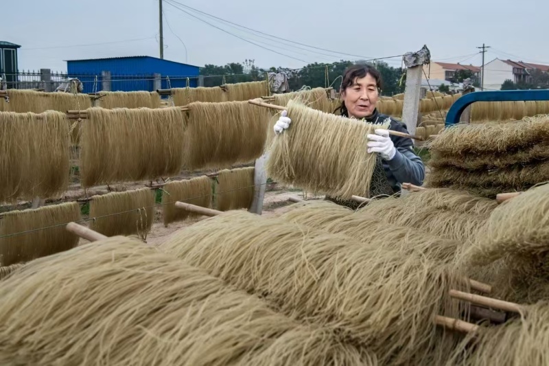 新乡获嘉县红薯粉条大量供应厂家直发量大从优欢迎来电