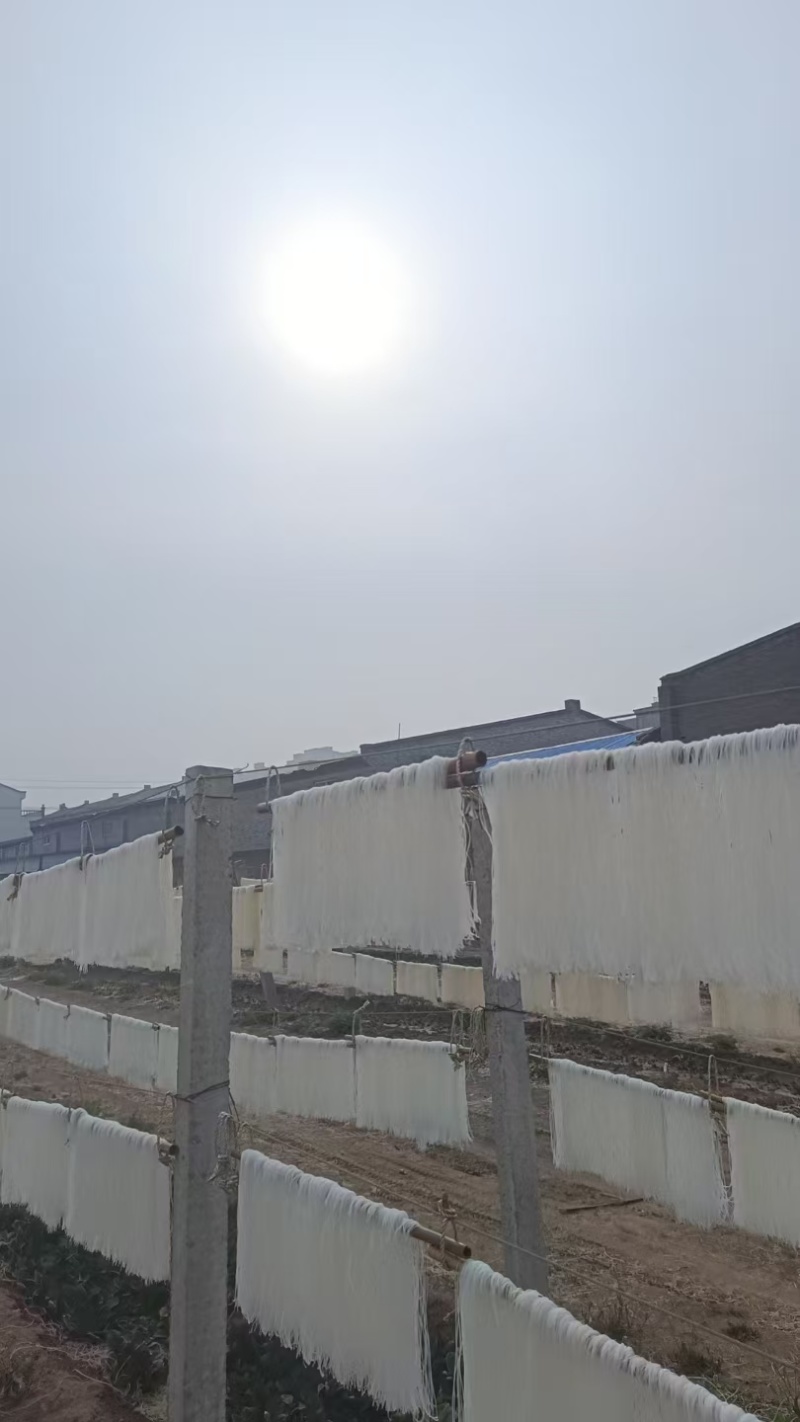 新乡获嘉县红薯粉条大量供应厂家直发量大从优欢迎来电