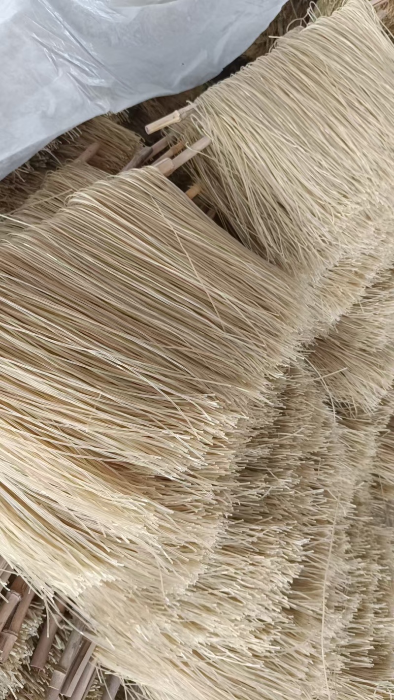 新乡获嘉县红薯粉条大量供应厂家直发量大从优欢迎来电