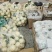 【热卖推荐】小籽甜瓜产地直销量大质优一手货源欢迎咨询