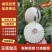 密露流星，河南滑县万亩甜瓜，实力代办，代发全国，诚信第一