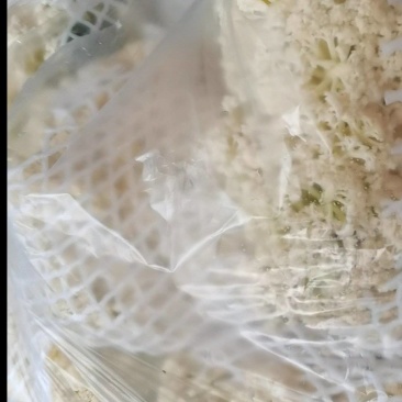 有机花莱，一斤半以上，产地供货：现货