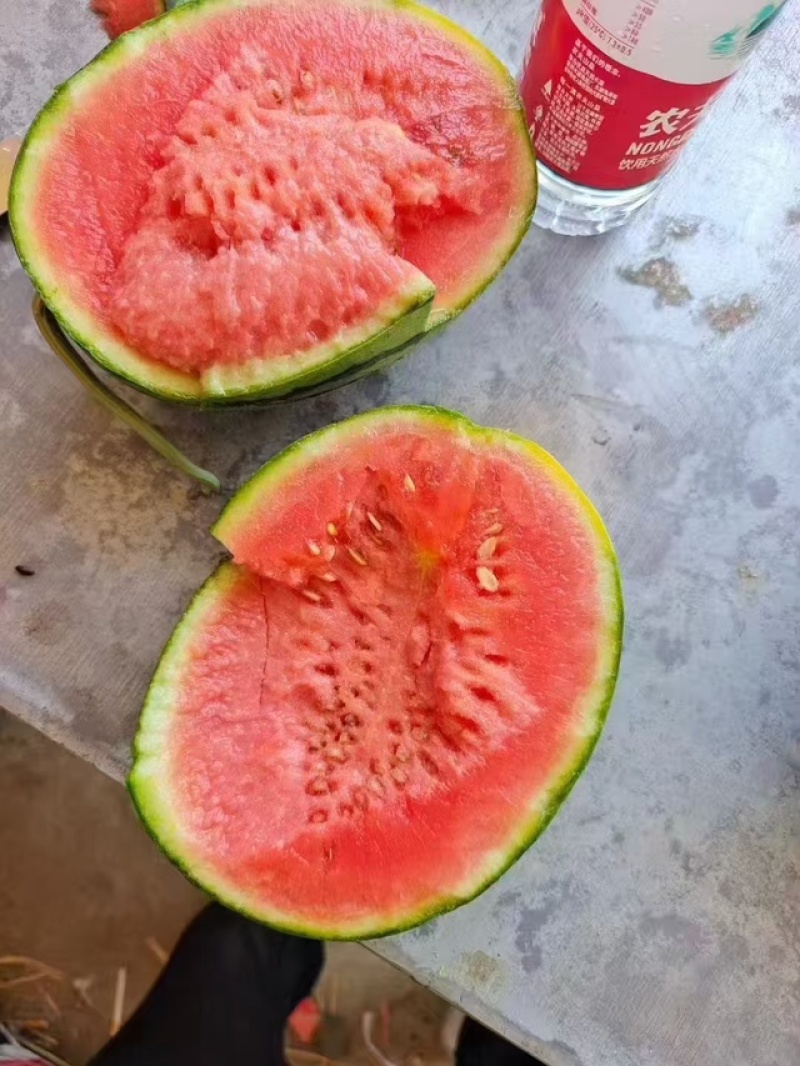 砀山早春红玉西瓜，产地直发，品质保证，诚信经营