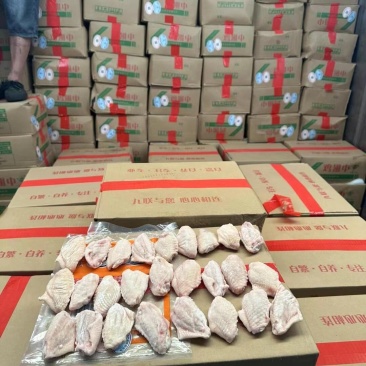 长期供应优品鸡中翅全翅