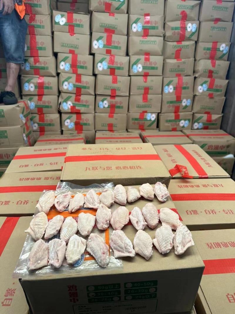 长期供应优品鸡中翅全翅