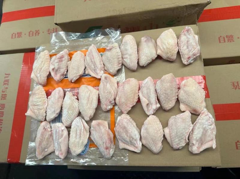 长期供应优品鸡中翅全翅