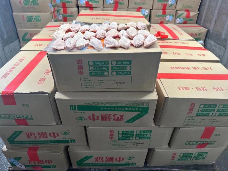 长期供应优品鸡中翅全翅