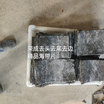 山东精品海带海带片一手货源品质保证量大从优欢迎
