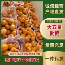精品大五星枇杷上市！一件代发整车代收代发，欢迎大家来合作