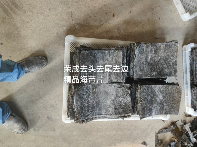 山东精品海带海带片一手货源品质保证量大从优欢迎