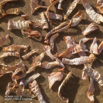 太阳味的笋干湖南基地直供质量保证一手货源量大优惠
