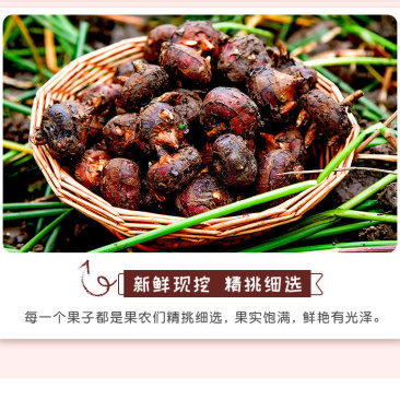 无为水洗马蹄直发中心,可产地看货各大批发市场