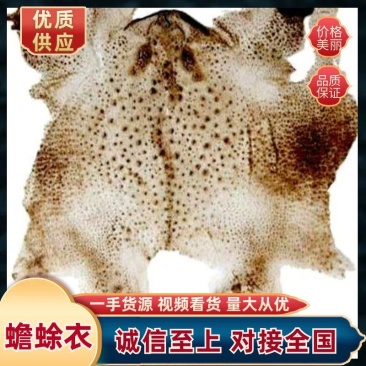 蟾蜕蟾蜕皮10张起批欢迎下单，诚信第一