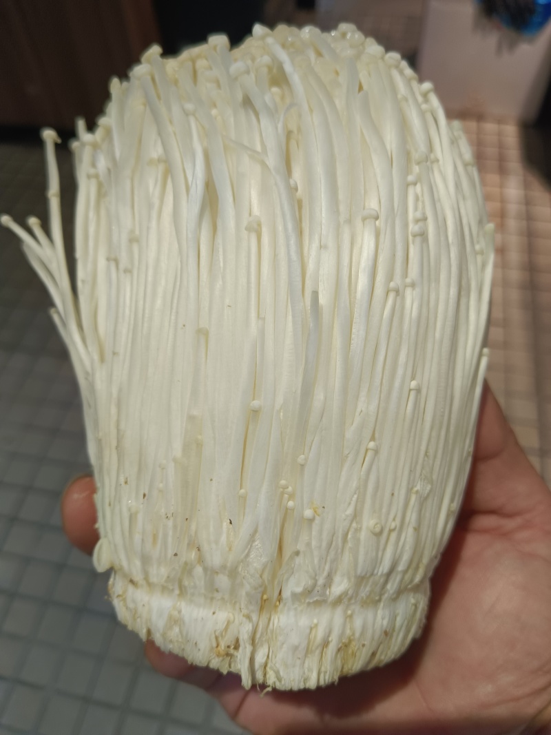 金针菇